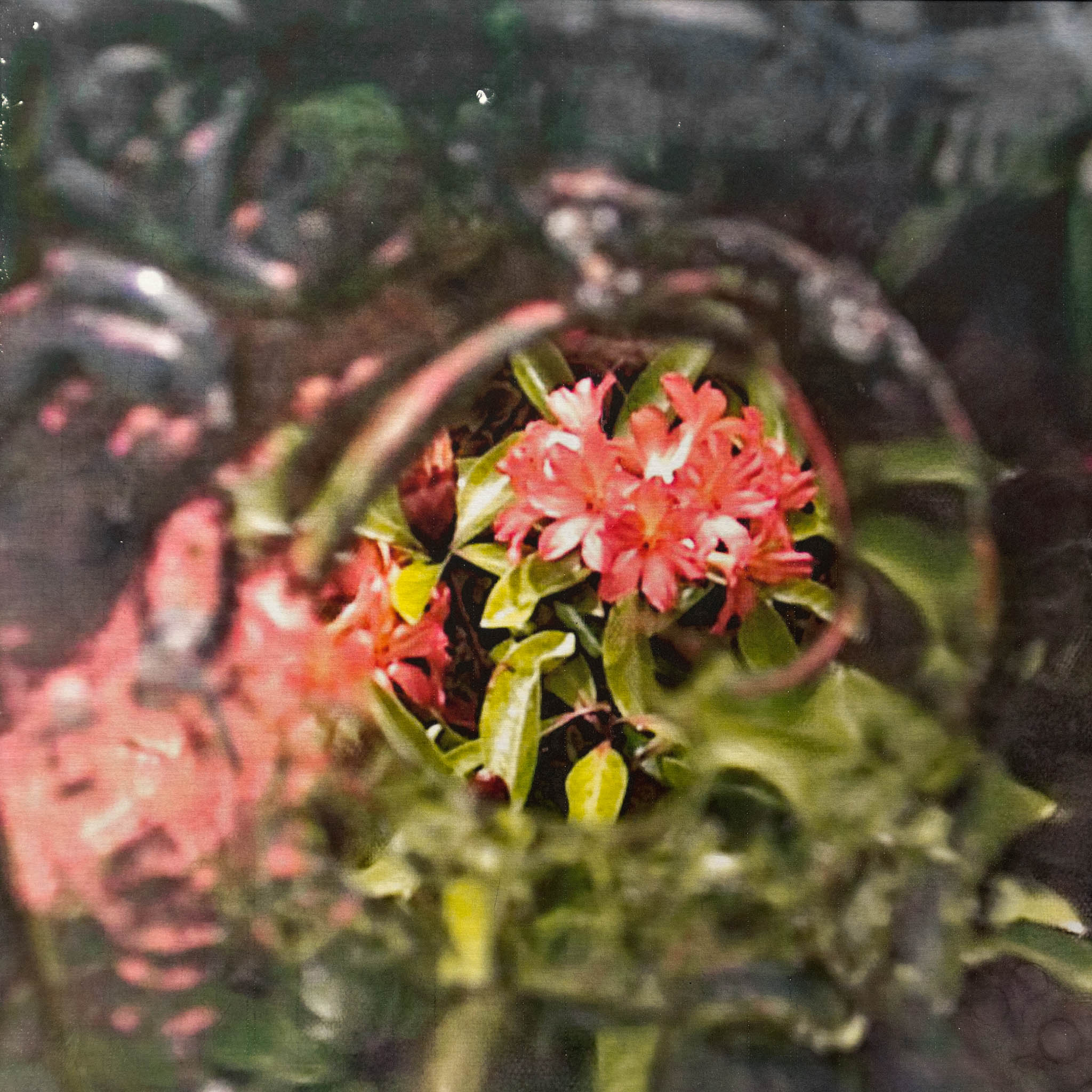 Distortion #2