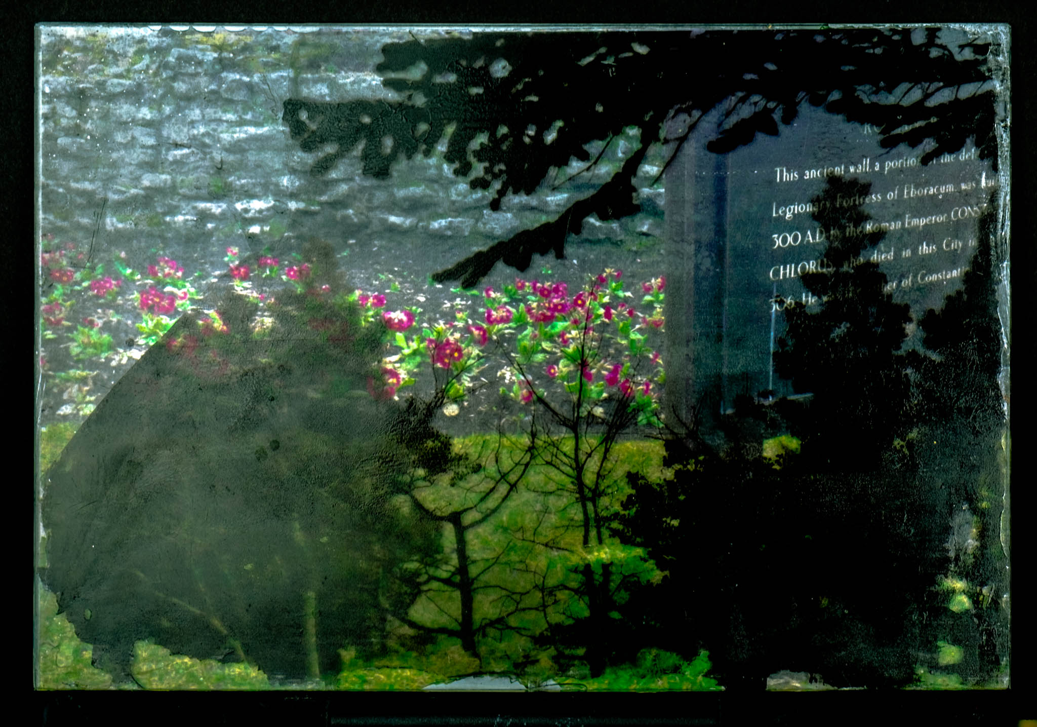 Legion Garden Wall